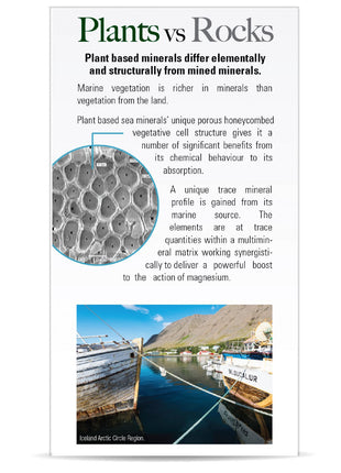 Marine Based Magnesium 500 mg - Natuurlijke Magnesium uit Aquamin® (90 capsules) - Nature's Answer - SuperfoodShop