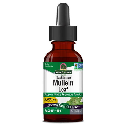 Mullein Leaf (Koningskaars) Extract – (30ml) - Nature's Answer - SuperfoodShop